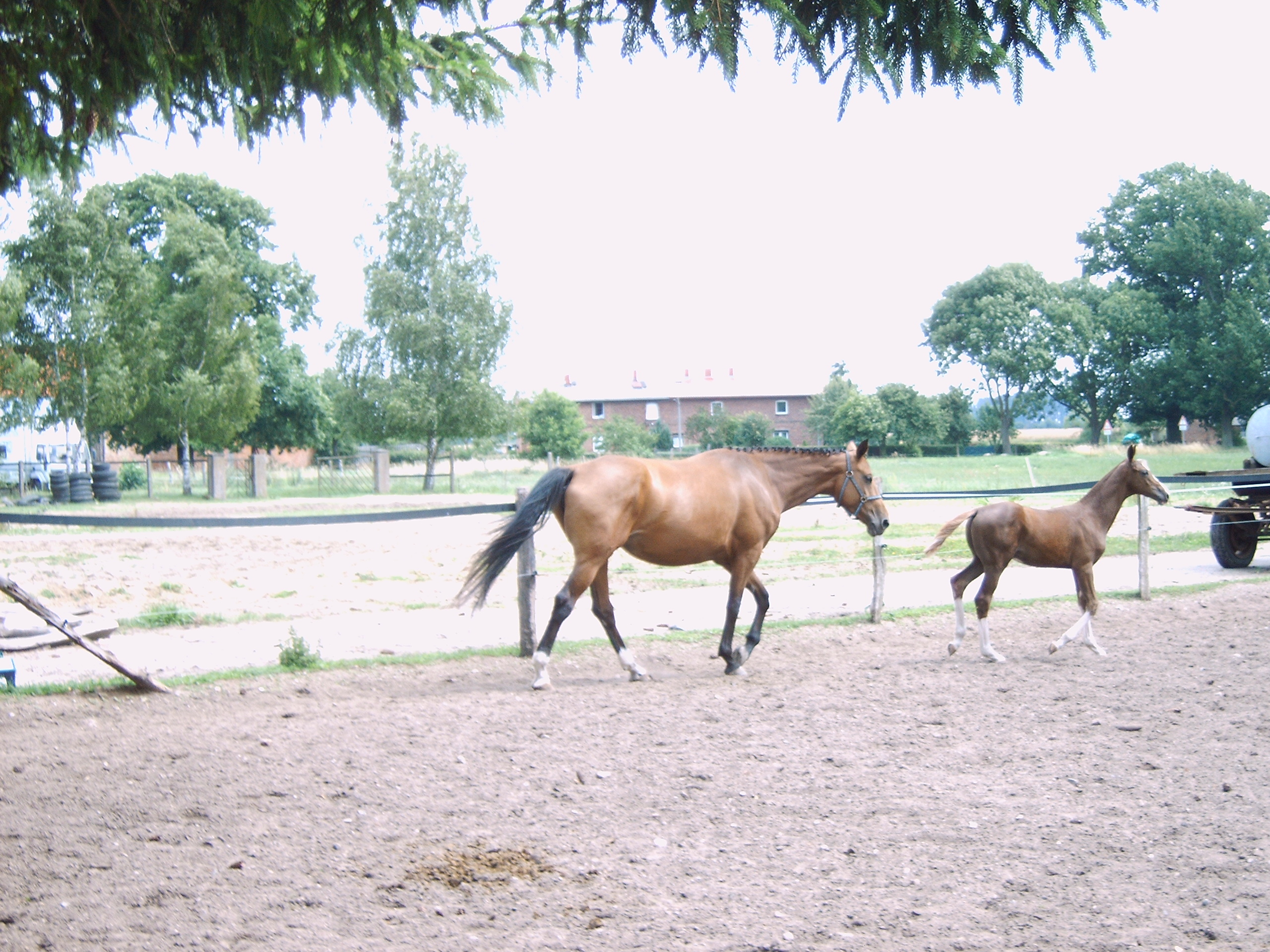 002 - PKW Stellplatz & Anhänger